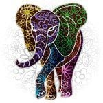 elephant_thumb-150x150