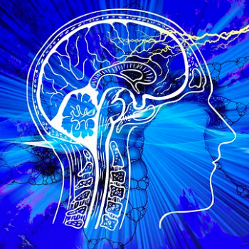 Brain Training Focus - BrainHQ from Posit Science