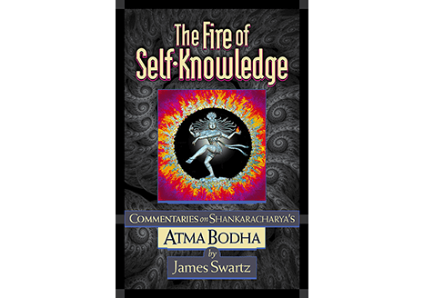 The Fire of Self Knowledge James Swartz Book Cover