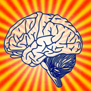 Brain Exercises to Improve Memory Magnetic Memory Method Blog Featured Image