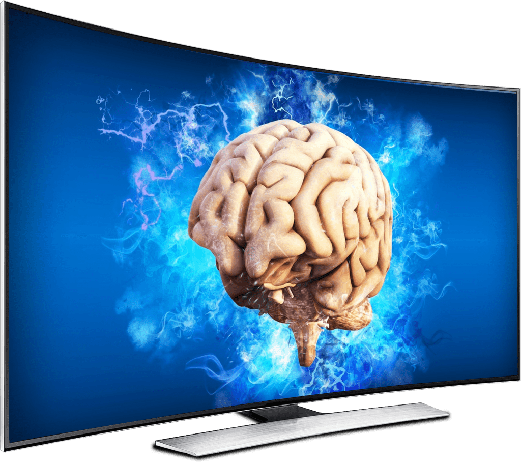 Brain Exercise Bootcamp