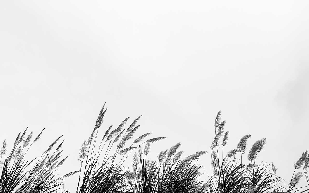 mental resilience