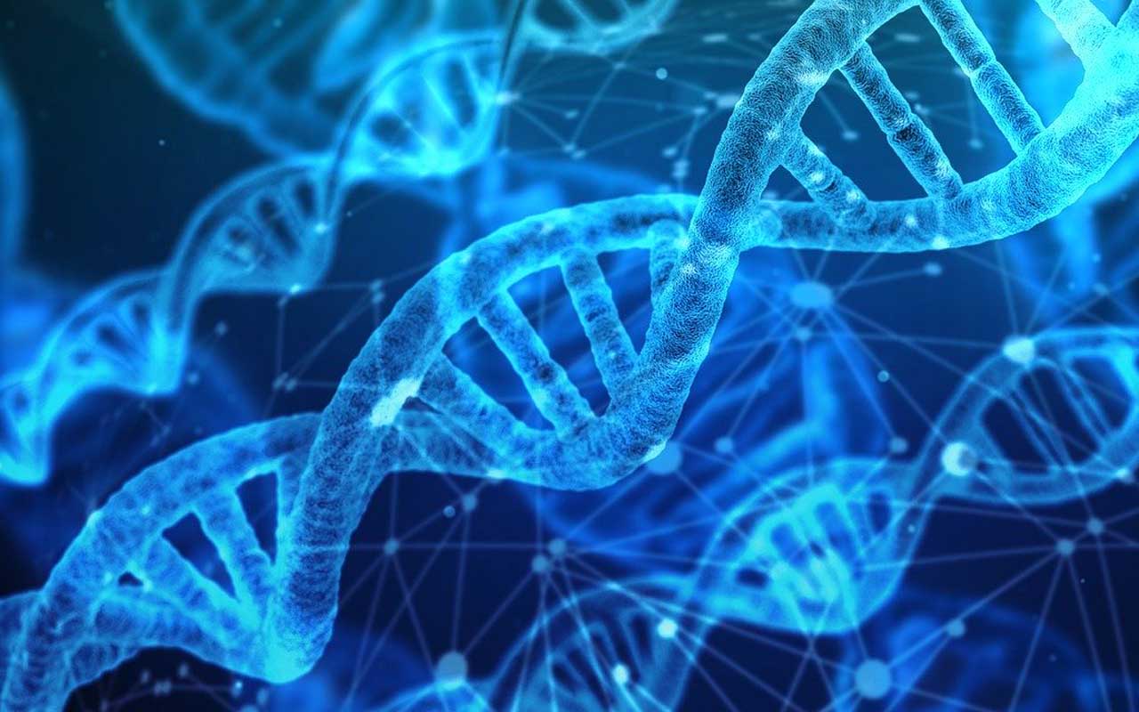 A DNA strand, a scientific and medical concept that mind maps help students understand better.