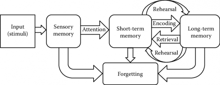 variable assignment memory model