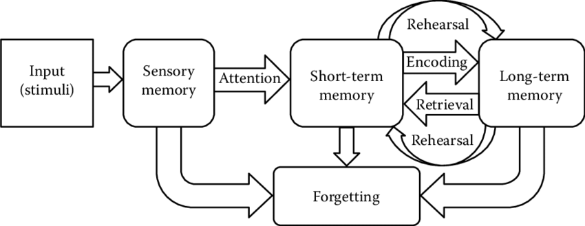 research topics about memory in psychology