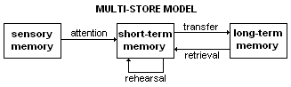 Il modello Multi Store della memoria