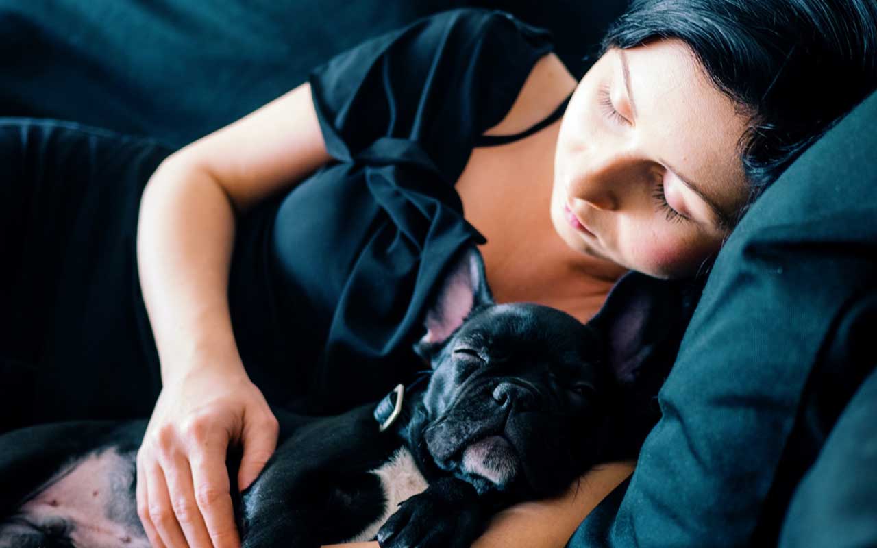 A woman naps on a couch with her French Bulldog. How to concentrate better? Get better sleep.