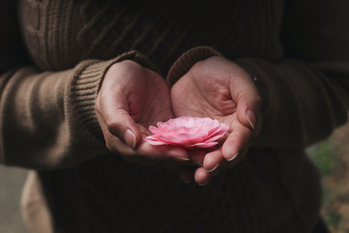 A person wearing a brown knit sweater holds a lotus blossom in their open palms.