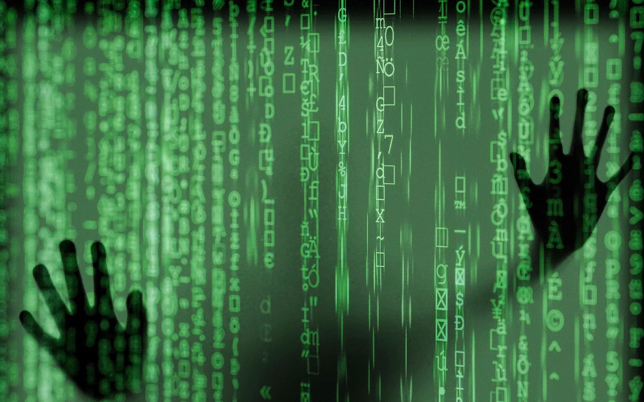 software