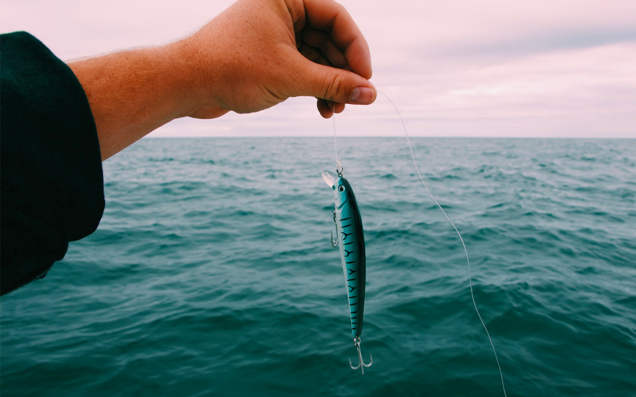 a hand is holding a fish