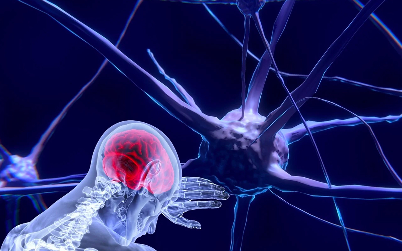 a image to show neuroscience