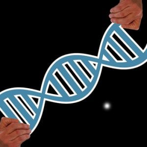 amino acids feature image