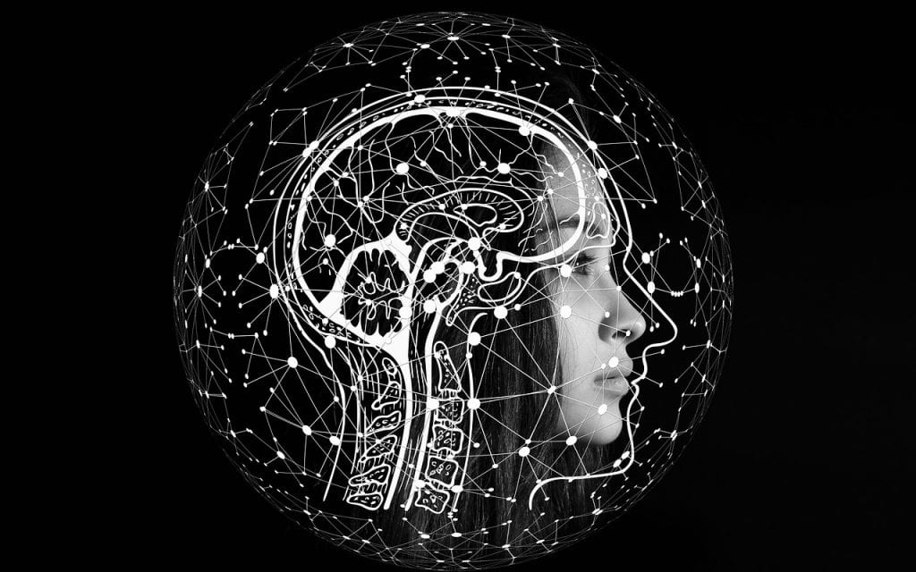 The Science of Mental Imagery: From Perception to Mnemonics