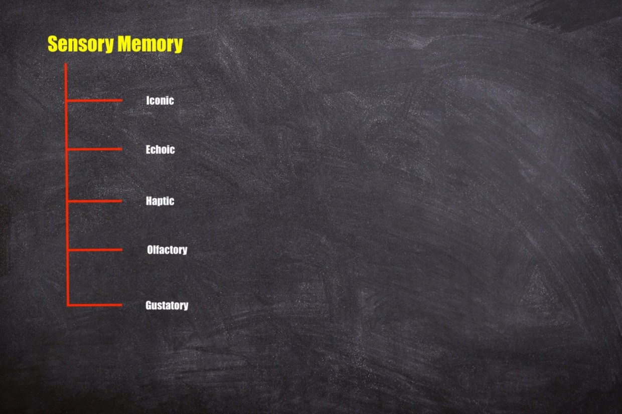 sensory memory subtypes