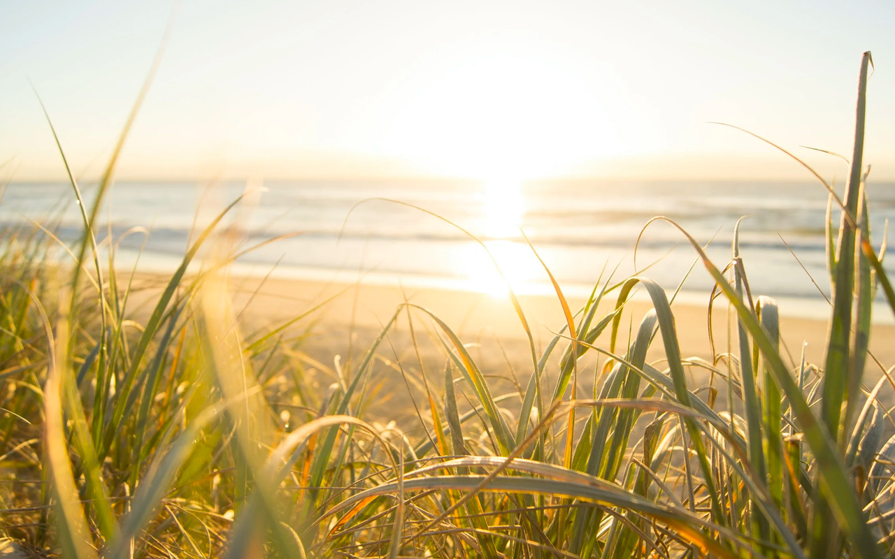 green grass and blue sea
