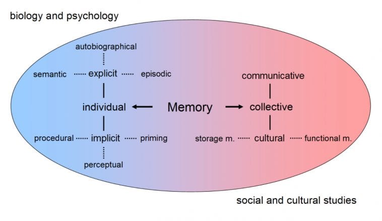 The 3 Major Types Memory And Every Subtype: A Complete Guide