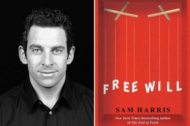 Sam harris meditation picture