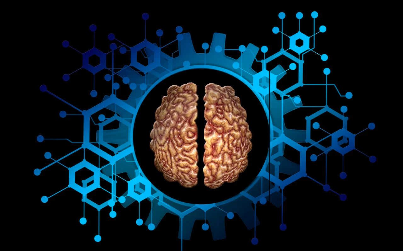 brain connections