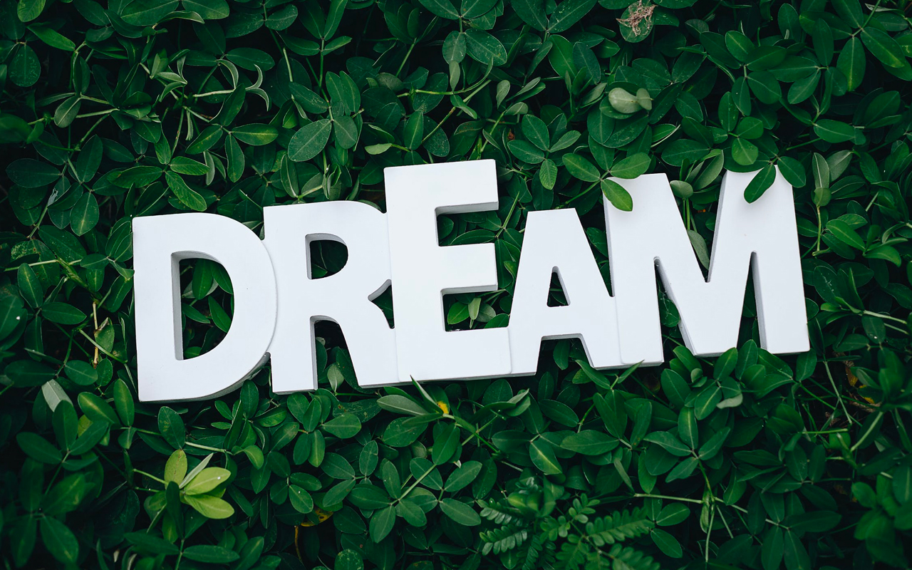 dream in green leaves