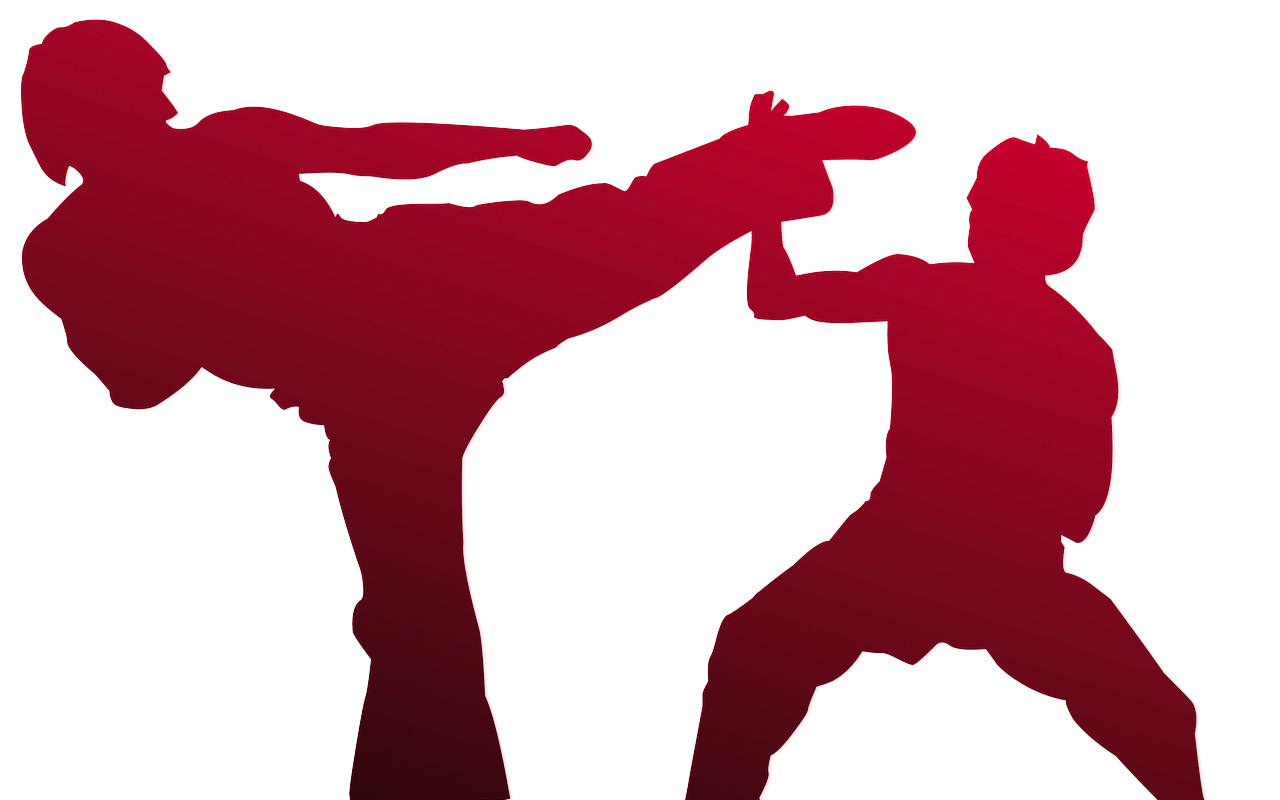 defence sport