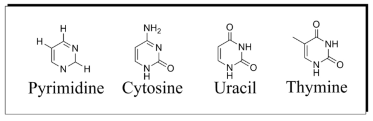 example