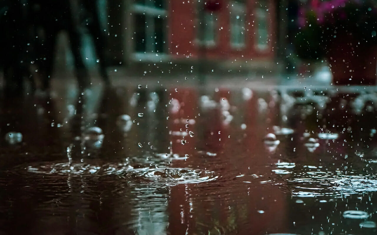 rain drops on the ground