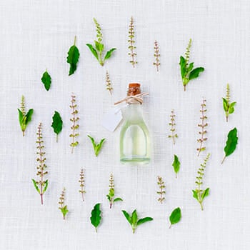 The 10 Best Herbs for Memory (#4 Can Change Your Life)