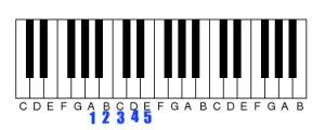 The Circle of Fifths Explained (And How to Memorize It)