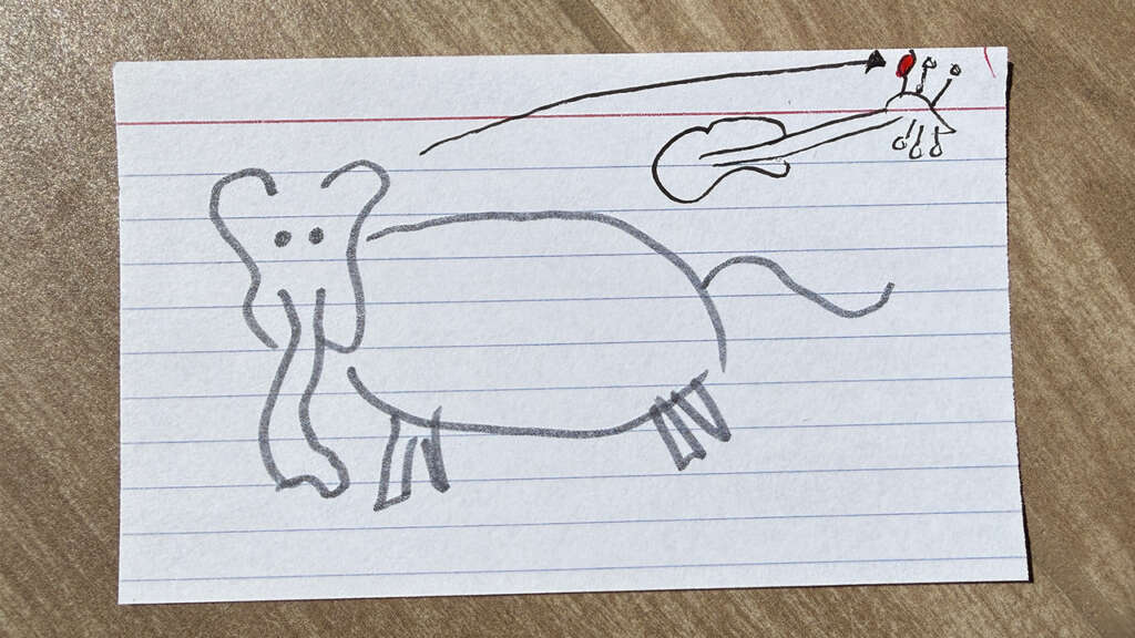 Flashcard example for learning the names of the guitar string featuring and elephant for the low-E string.