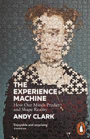 The Experience Machine book cover by Andy Clark